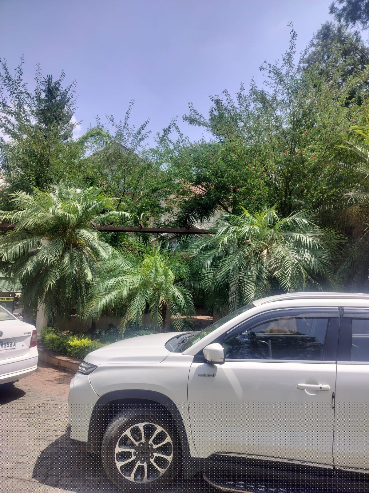 Punjab National Bank Auctions for Residential property in Bhopal, Madhya Pradesh image 3 of 4 in Bhopal, Bhopal | Punjab National Bank auction property