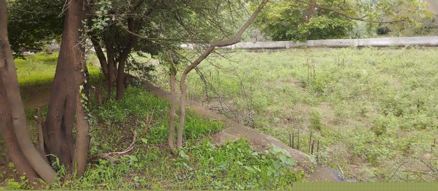 Punjab National Bank Auctions for Residential property in Kheda, Gujarat image 2 of 8 in Kapadvanj, Kheda | Punjab National Bank auction property