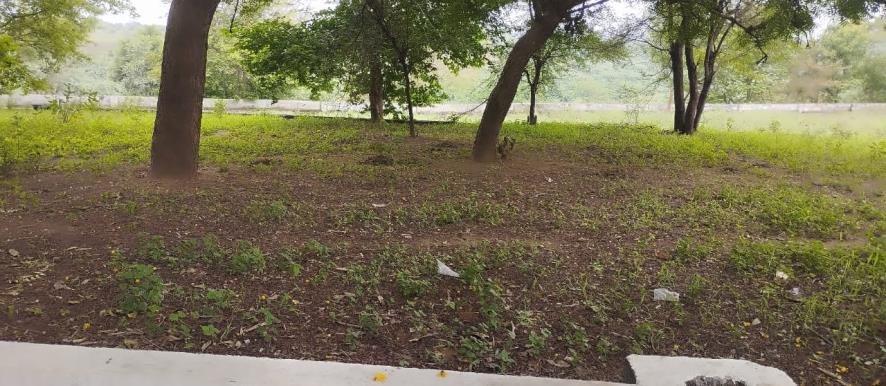 Punjab National Bank Auctions for Residential property in Kheda, Gujarat image 4 of 8 in Kapadvanj, Kheda | Punjab National Bank auction property