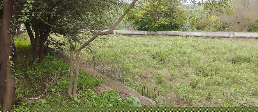 Punjab National Bank Auctions for Residential property in Kheda, Gujarat image 5 of 8 in Kapadvanj, Kheda | Punjab National Bank auction property