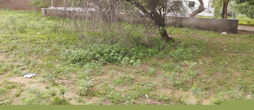 Punjab National Bank Auctions for Residential property in Kheda, Gujarat image 8 of 8 in Kapadvanj, Kheda | Punjab National Bank auction property