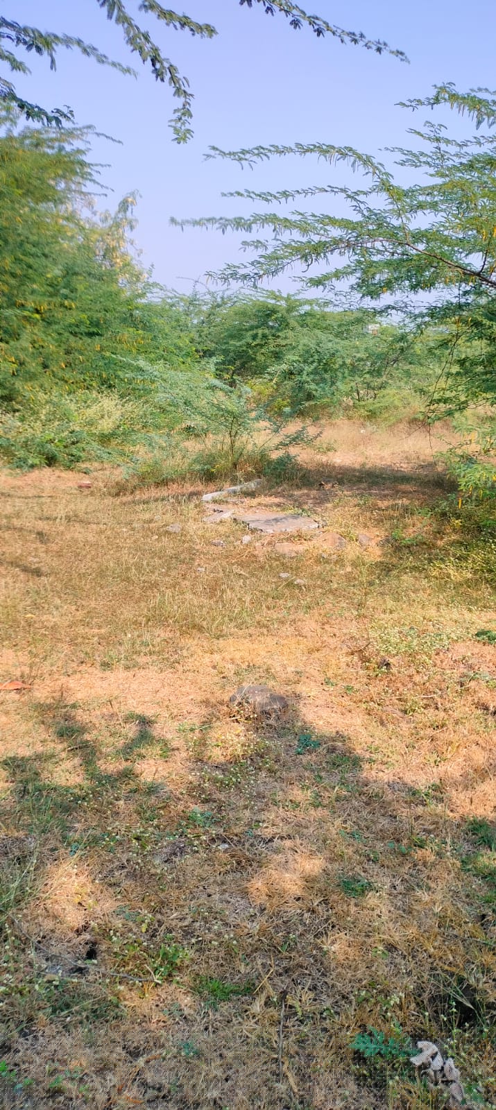 Bank of India Auctions for Residential property in Solapur, Maharashtra image 3 of 7 in Solapur, Solapur | Bank of India auction property