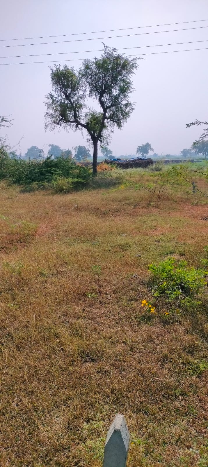 Bank of India Auctions for Residential property in Solapur, Maharashtra image 4 of 7 in Solapur, Solapur | Bank of India auction property
