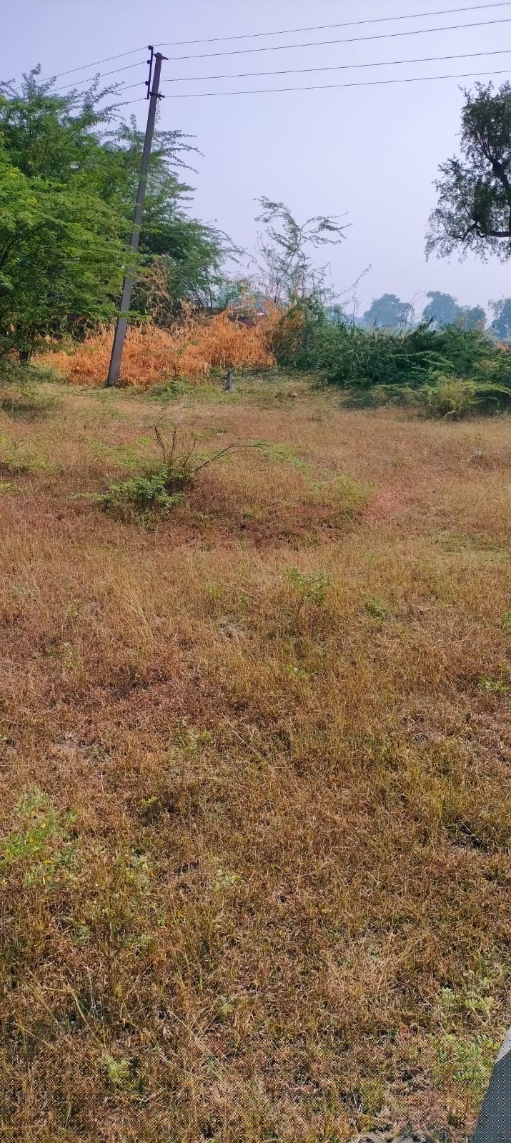 Bank of India Auctions for Residential property in Solapur, Maharashtra image 5 of 7 in Solapur, Solapur | Bank of India auction property