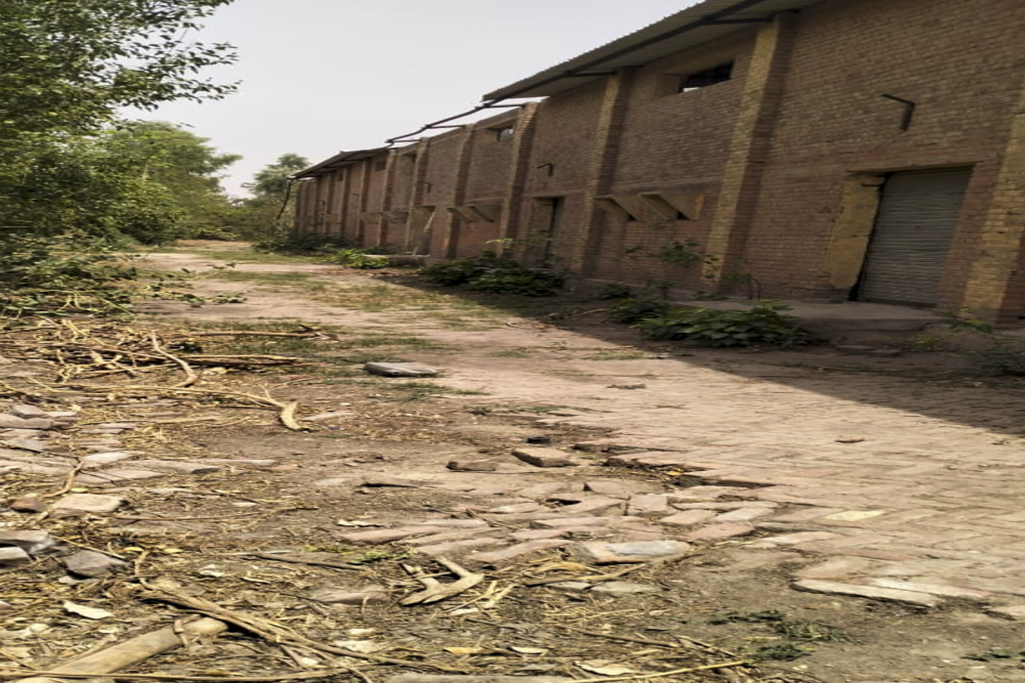 State Bank of India Auctions for Commercial property in Fazilka, Punjab image 2 of 7 in Jalalabad, Fazilka | State Bank of India auction property