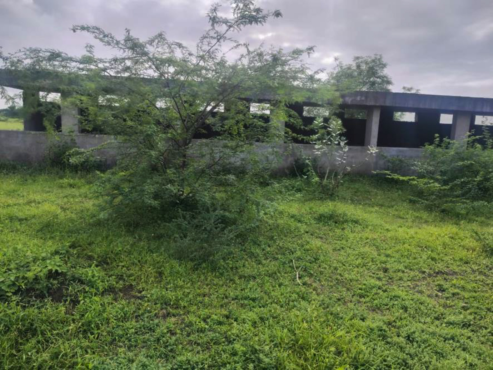 Punjab National Bank Auctions for Residential property in Jamnagar, Gujarat image 18 of 23 in Jamnagar, Jamnagar | Punjab National Bank auction property