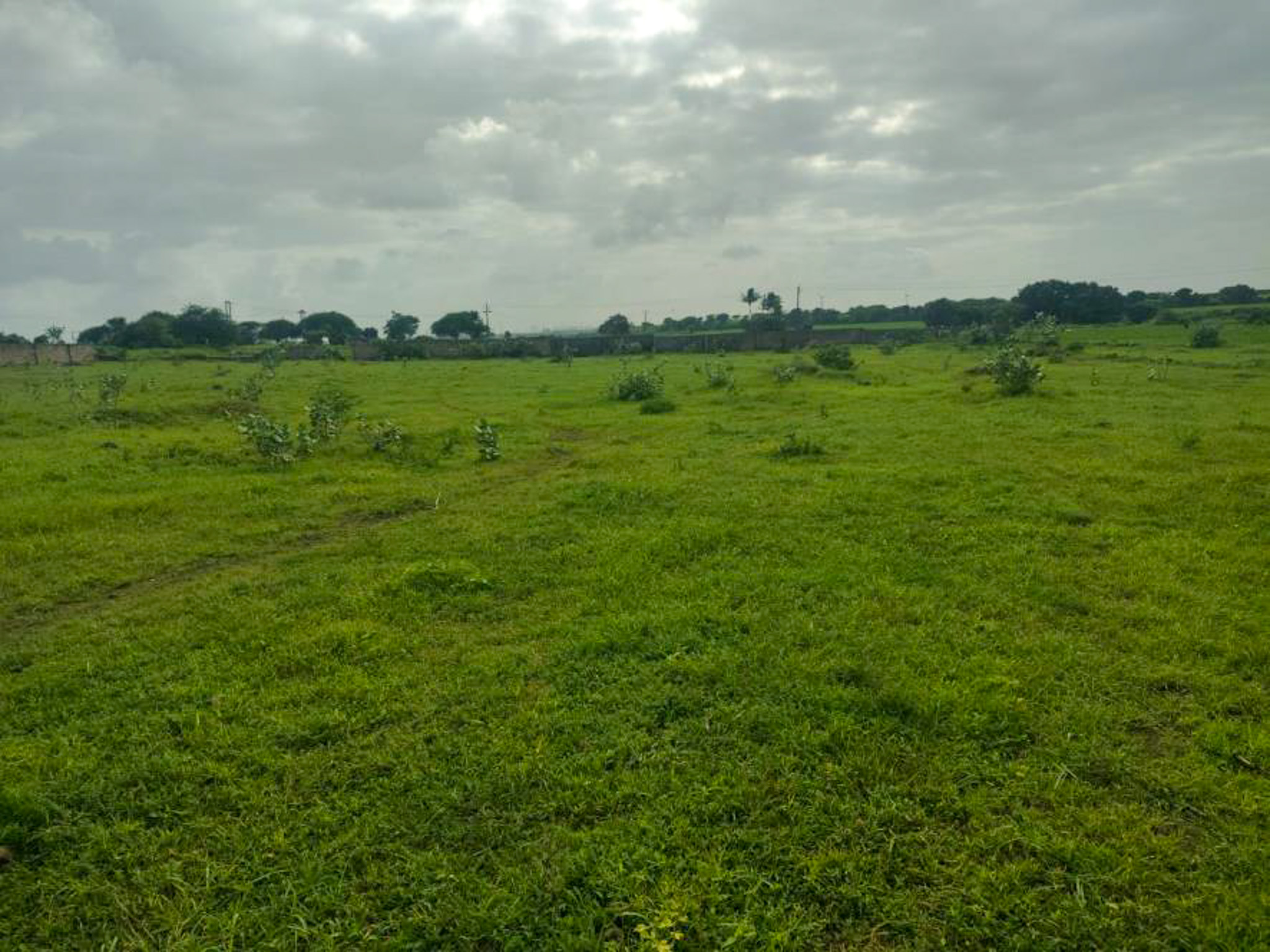 Punjab National Bank Auctions for Residential property in Jamnagar, Gujarat image 22 of 23 in Jamnagar, Jamnagar | Punjab National Bank auction property