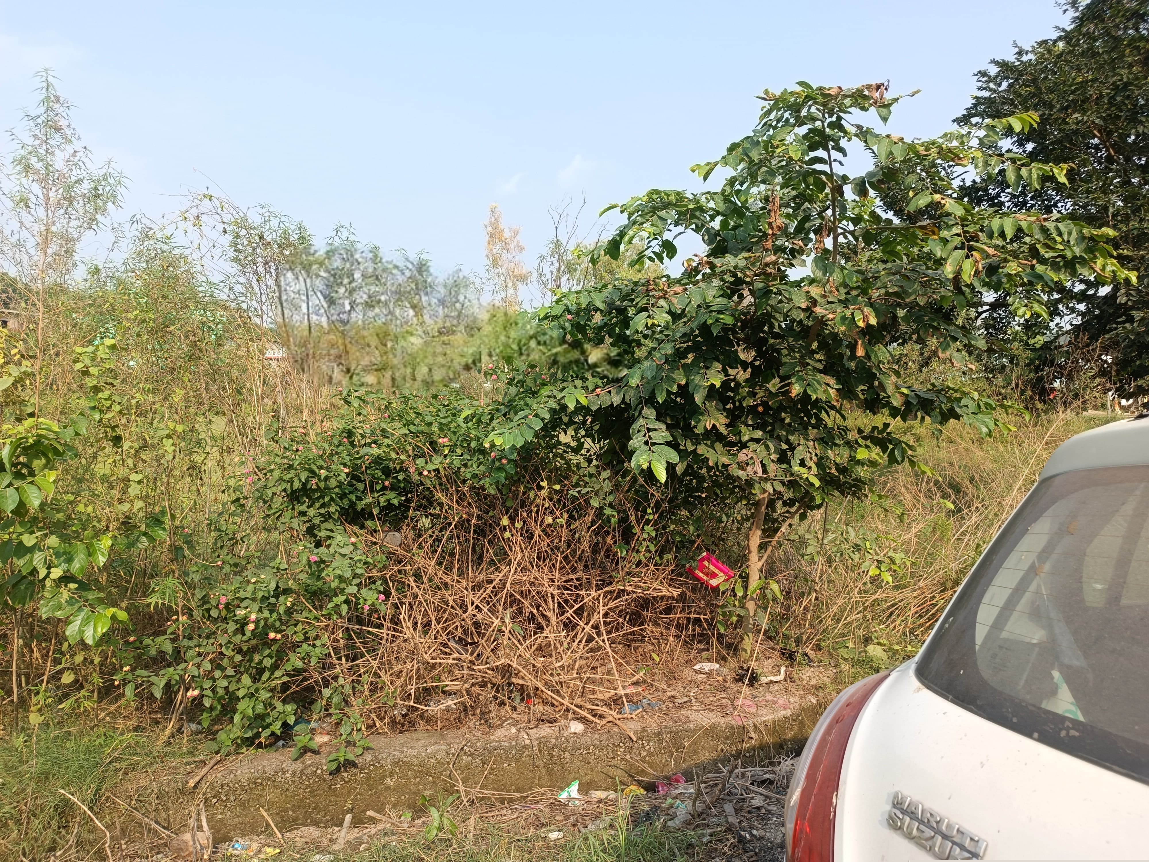 Canara Bank Auctions for Residential property in Kullu, Himachal Pradesh image 2 of 3 in Bhuntar, Kullu | Canara Bank auction property