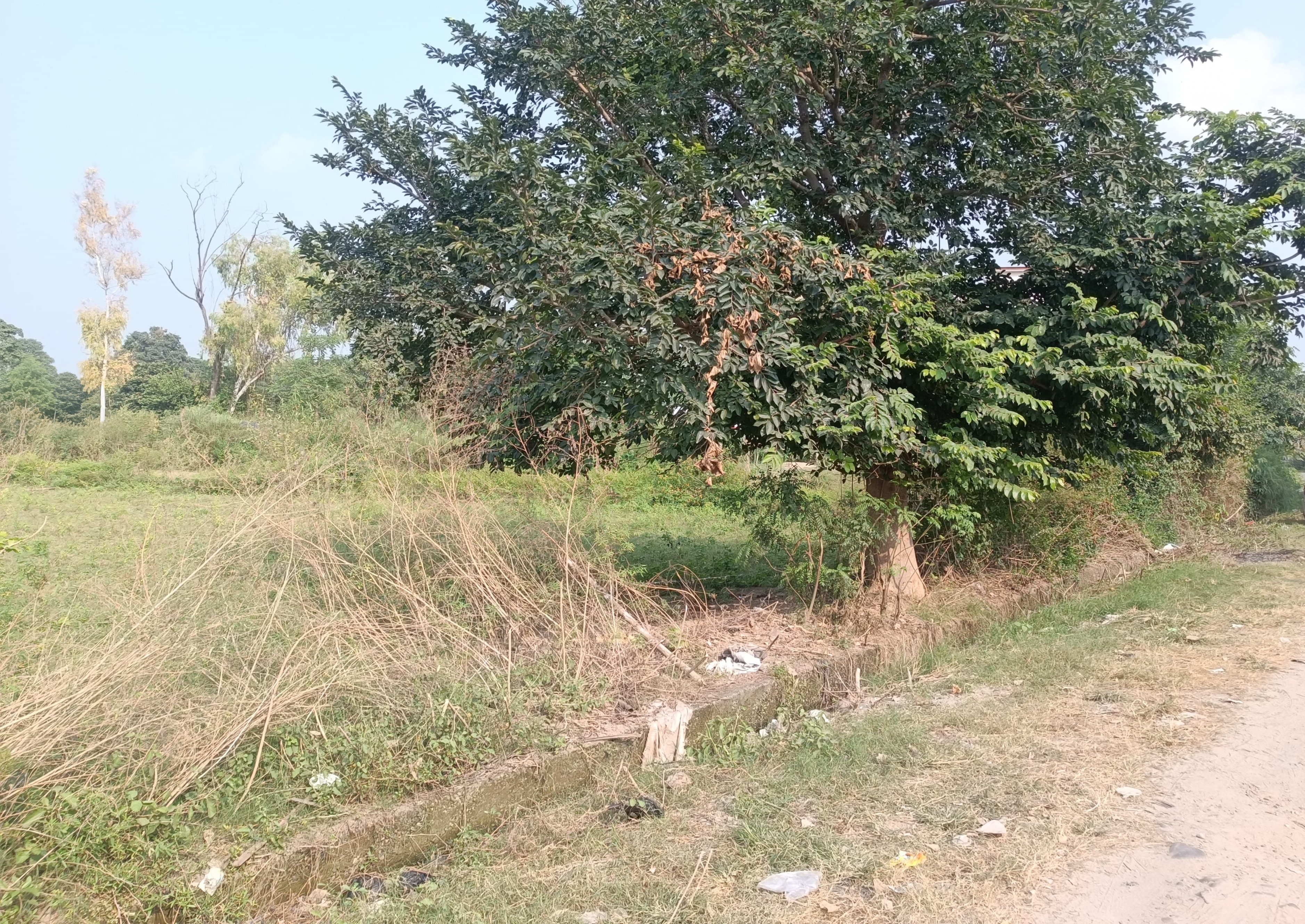 Canara Bank Auctions for Residential property in Kullu, Himachal Pradesh image 3 of 3 in Bhuntar, Kullu | Canara Bank auction property