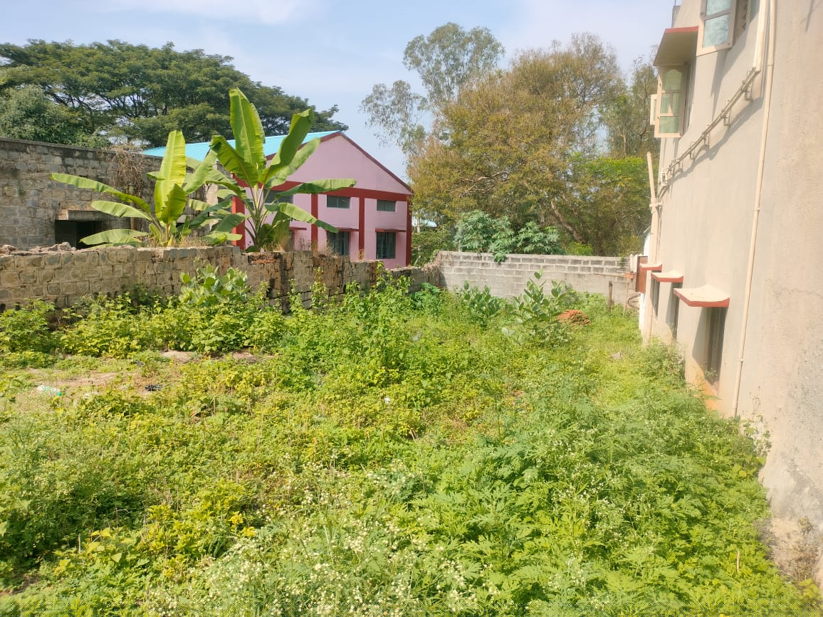 Bank of Baroda Auctions for Residential property in Mysuru, Karnataka image 5 of 6 in HD Kote, Mysuru | Bank of Baroda auction property