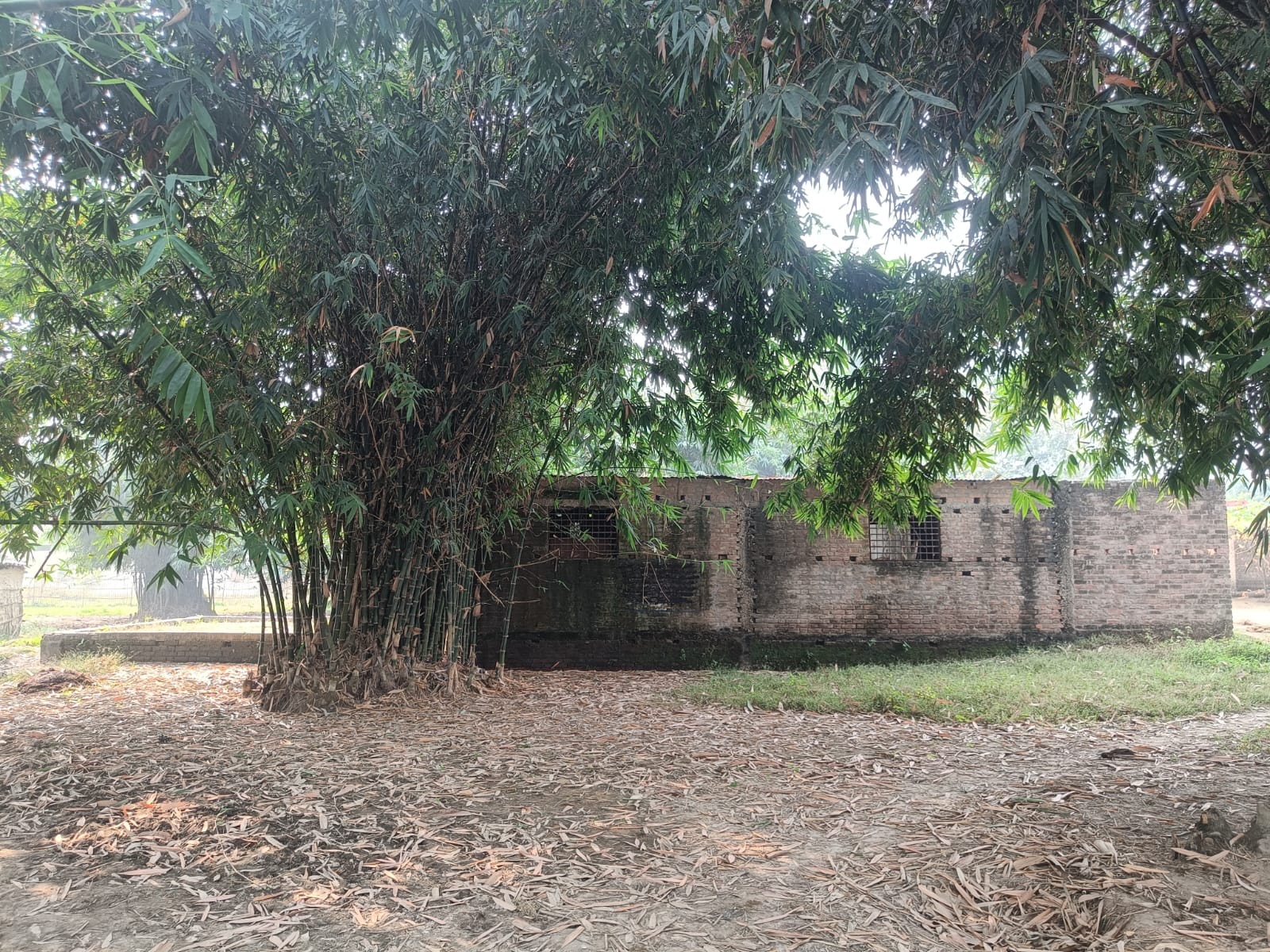 Central Bank of India Auctions for Residential property in Champa, Chhattisgarh image 4 of 5 in Raxaul Bazar, Champa | Central Bank of India auction property