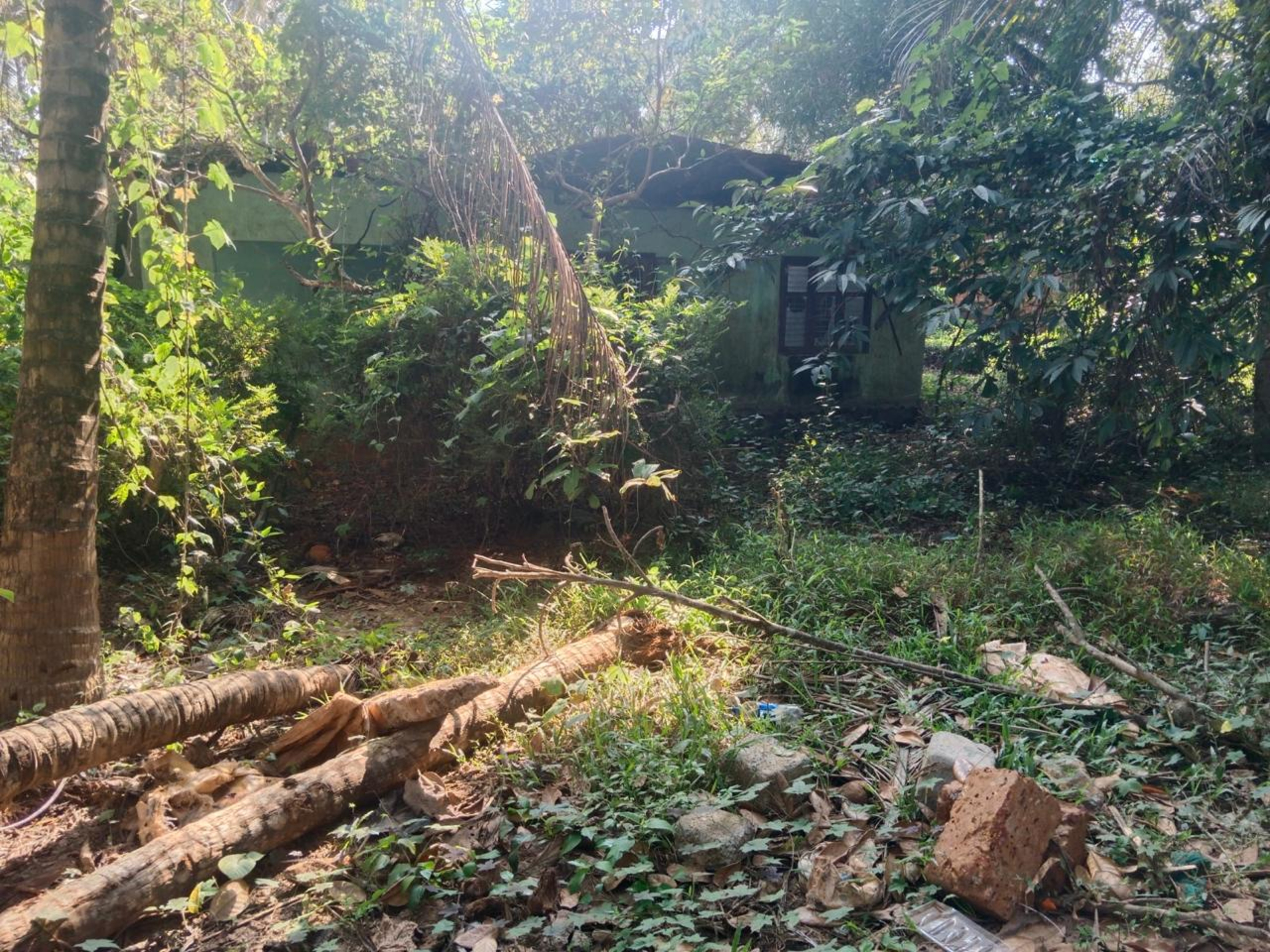 Punjab National Bank Auctions for Residential property in Kozhikode, Kerala image 4 of 7 in Nanmanda, Kozhikode | Punjab National Bank auction property