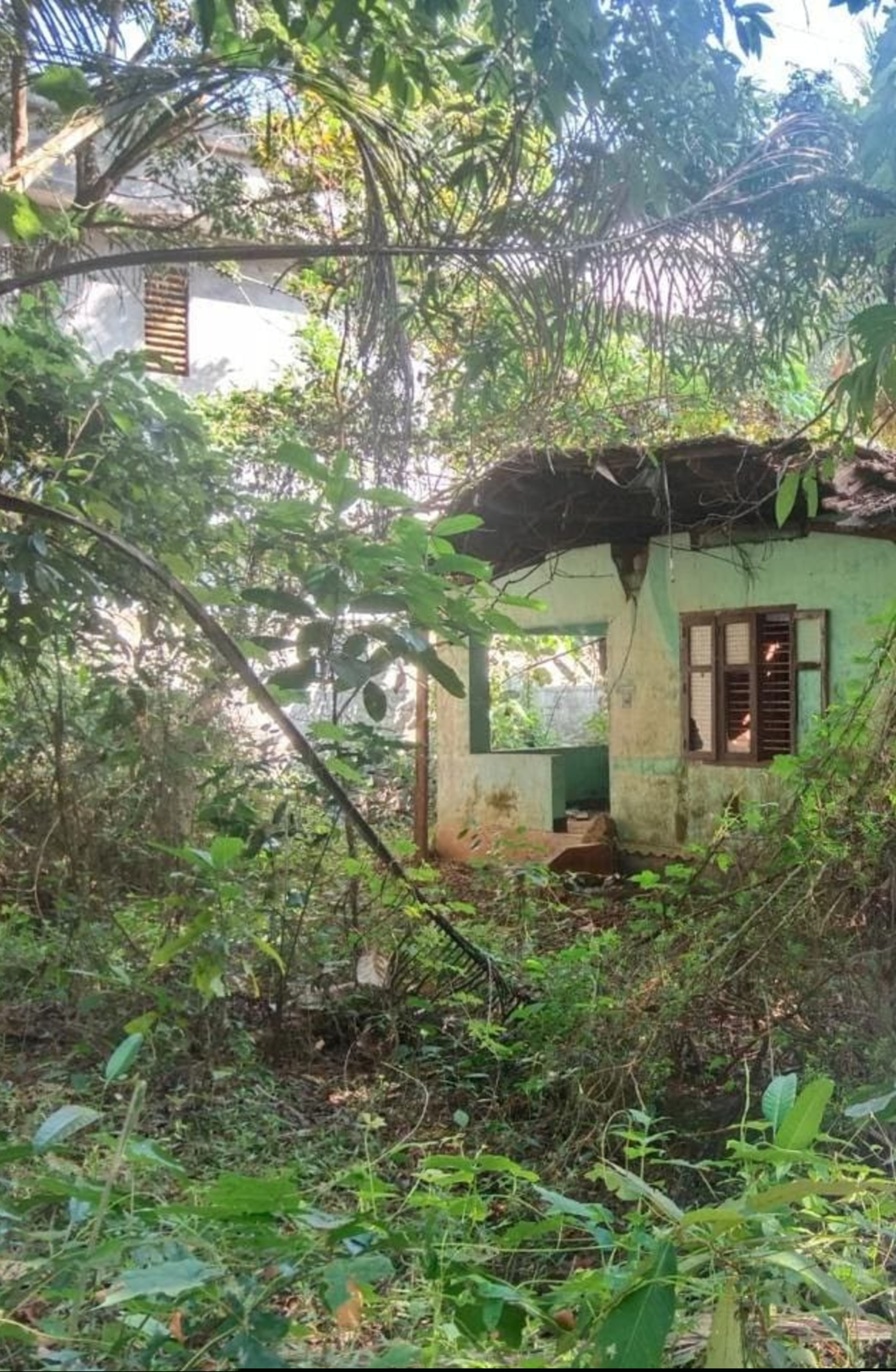Punjab National Bank Auctions for Residential property in Kozhikode, Kerala image 5 of 7 in Nanmanda, Kozhikode | Punjab National Bank auction property