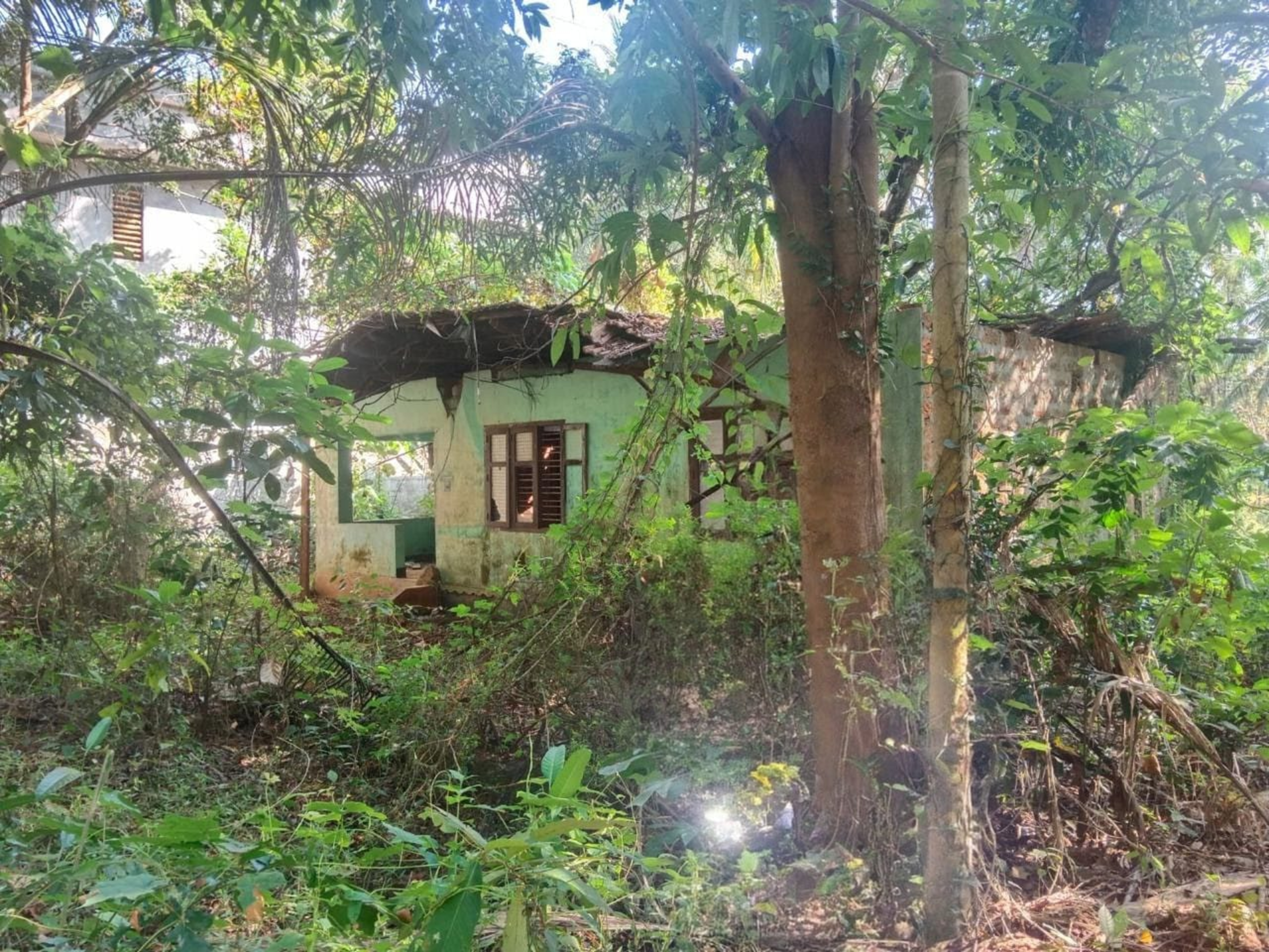 Punjab National Bank Auctions for Residential property in Kozhikode, Kerala image 6 of 7 in Nanmanda, Kozhikode | Punjab National Bank auction property