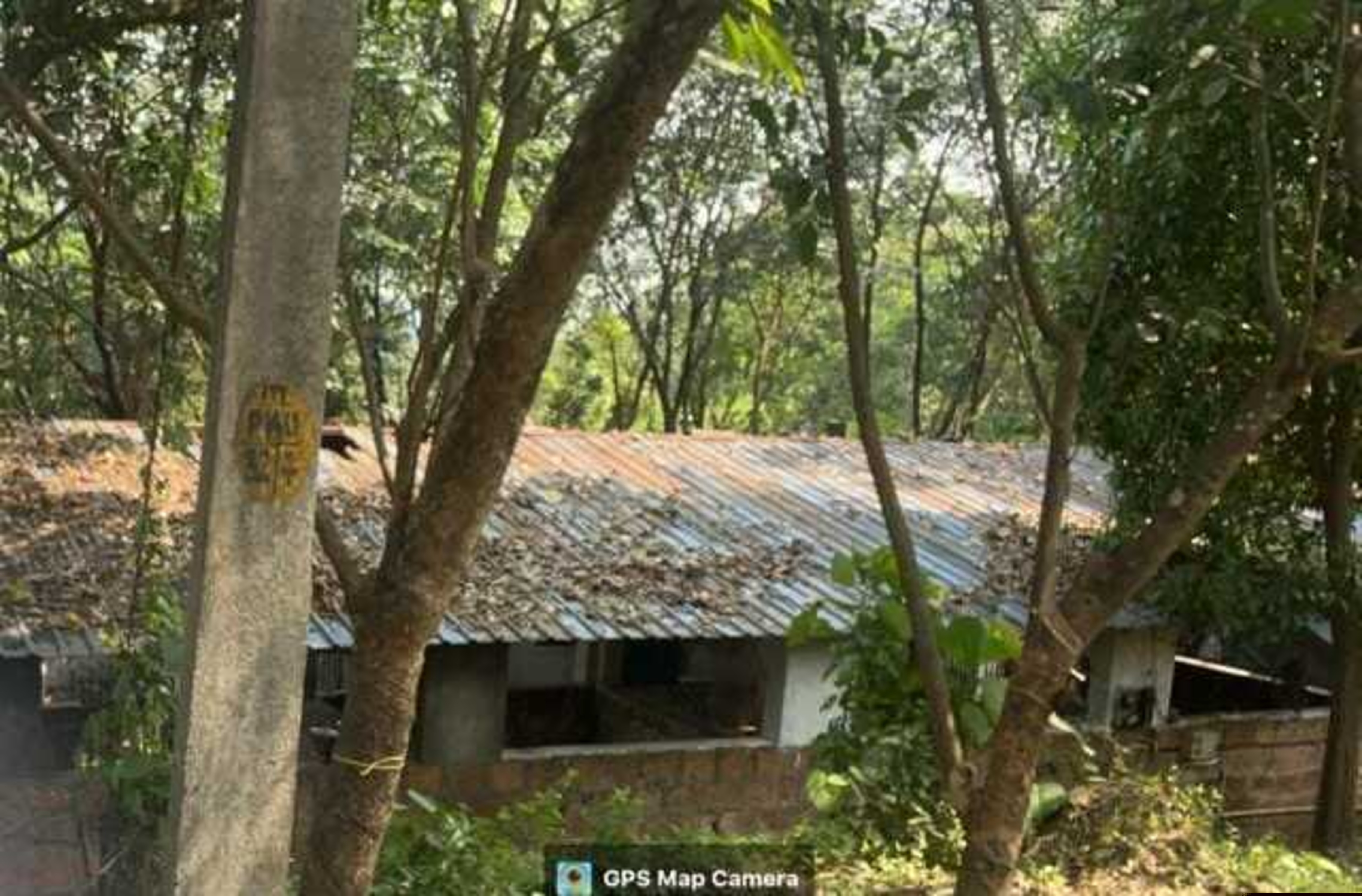Punjab National Bank Auctions for Residential property in Thrissur, Kerala image 3 of 7 in Padiyur, Thrissur | Punjab National Bank auction property