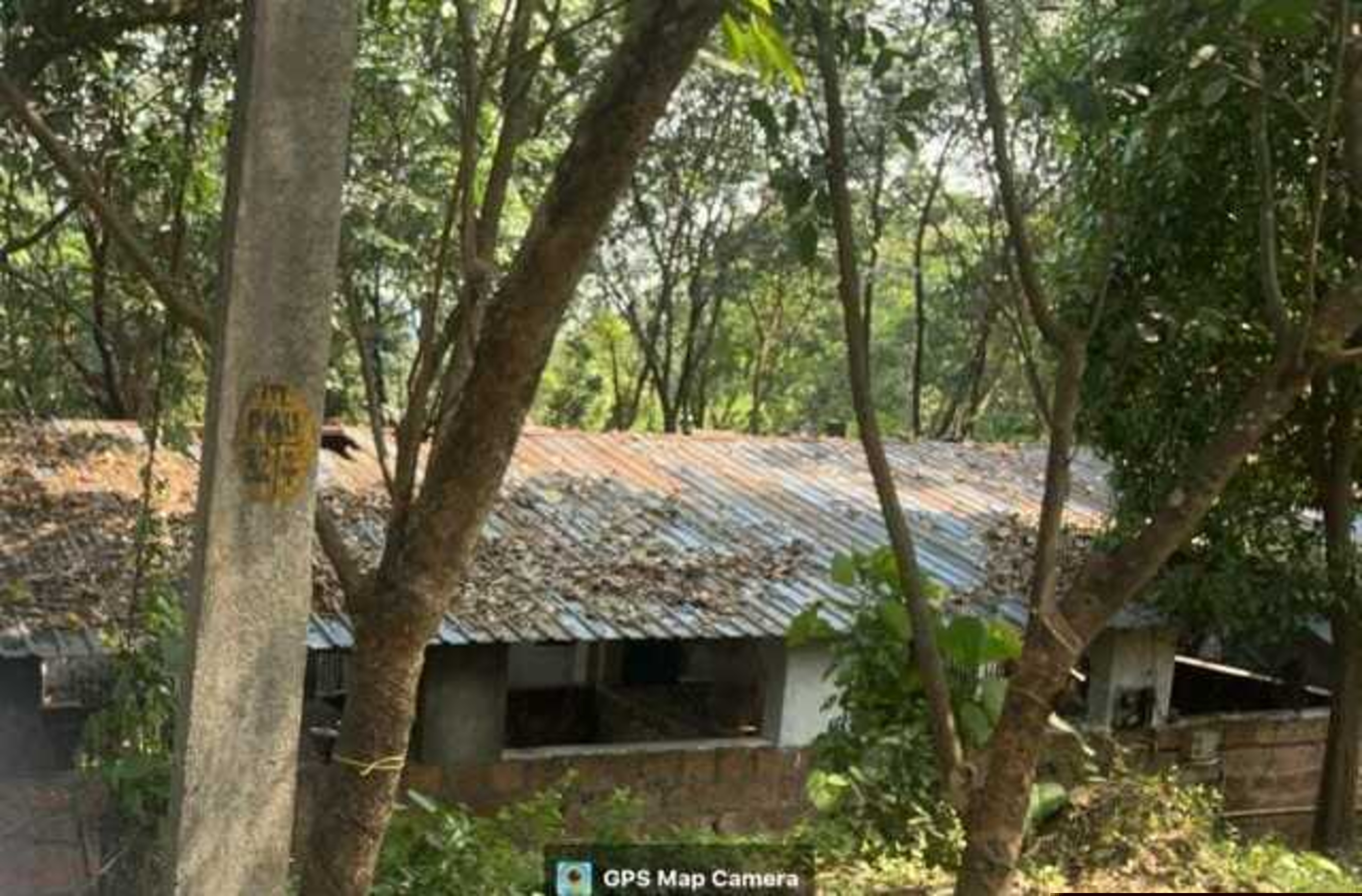 Punjab National Bank Auctions for Residential property in Thrissur, Kerala image 6 of 7 in Padiyur, Thrissur | Punjab National Bank auction property