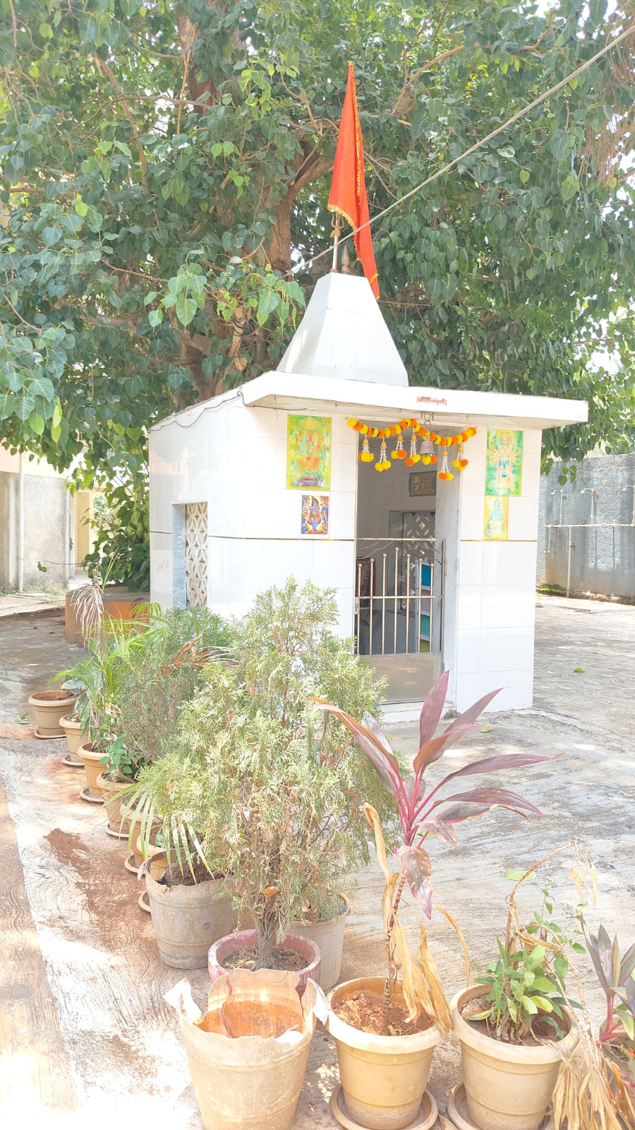 Central Bank of India Auctions for Residential property in Palghar, Maharashtra image 8 of 9 in Dhandekar Industrial Area, Palghar | Central Bank of India auction property