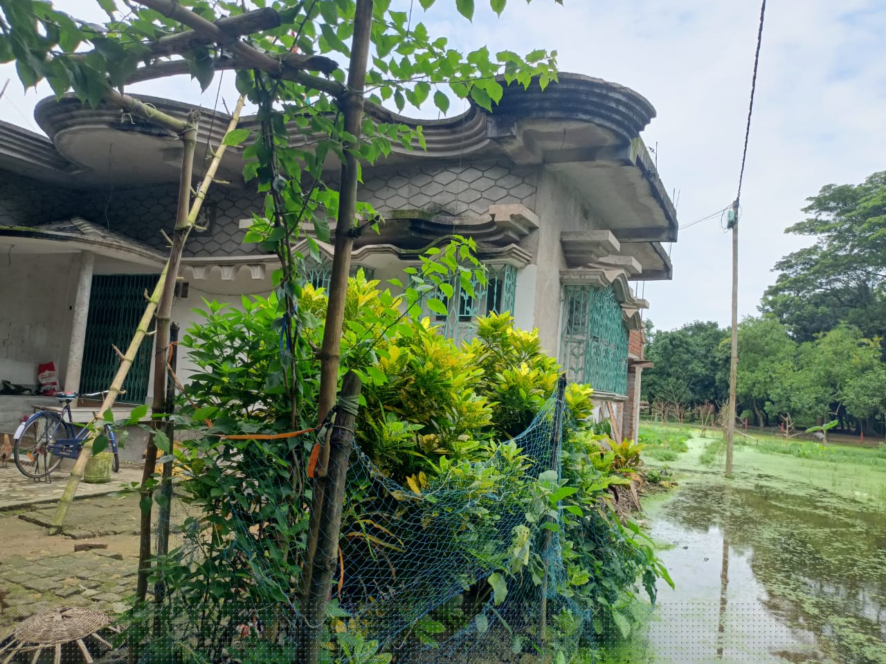 Punjab National Bank Auctions for Residential property in South 24 Parganas, West Bengal image 5 of 5 in Chak Baria, South 24 Parganas | Punjab National Bank auction property