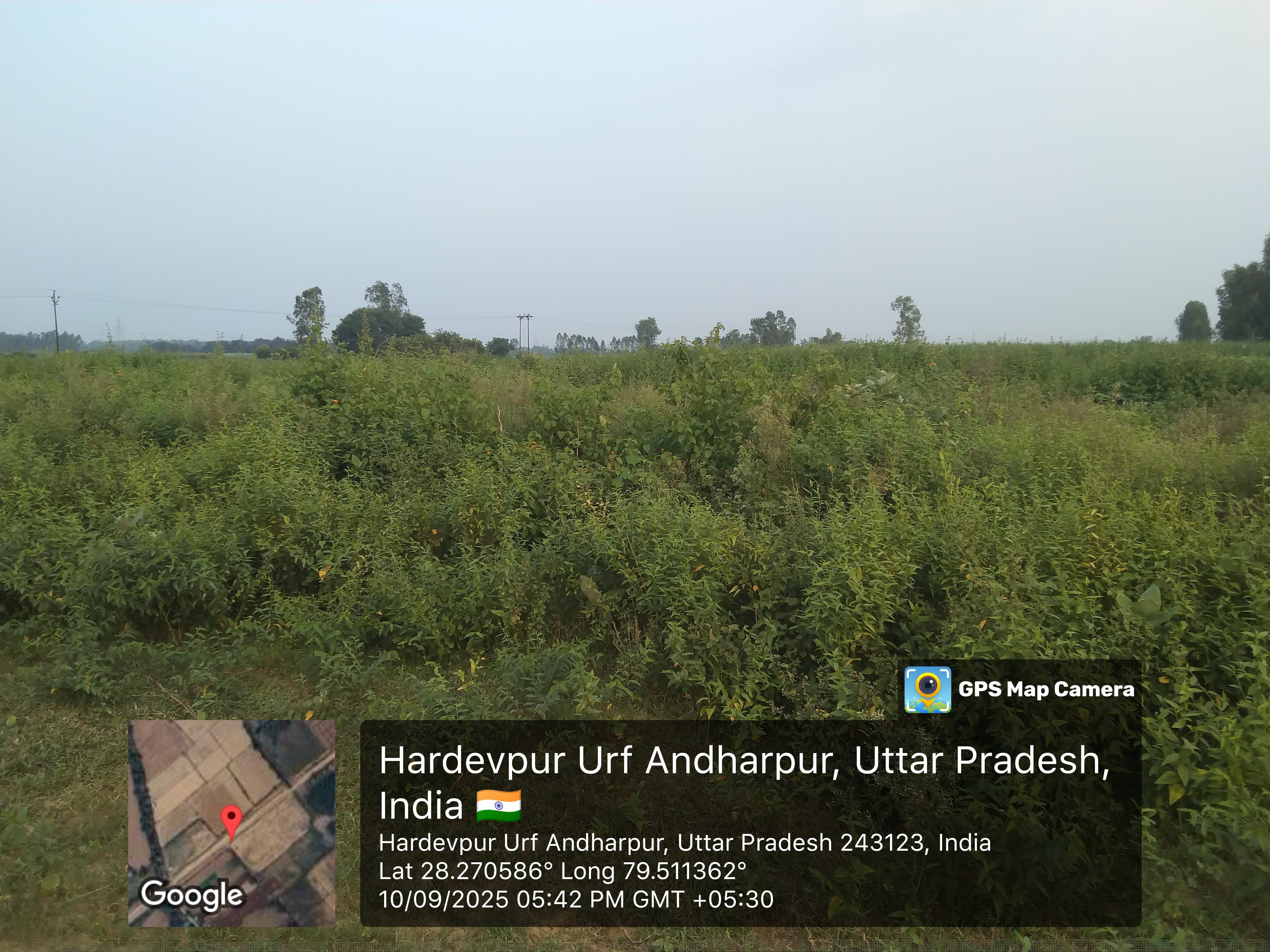 Punjab National Bank Auctions for Residential property in Bareilly, Uttar Pradesh image 2 of 2 in Faridpur, Bareilly | Punjab National Bank auction property