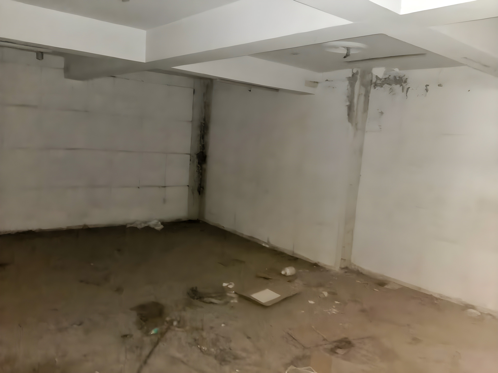 Canara Bank Auctions for Commercial property in Panipat, Haryana image 8 of 19 in Panipat, Panipat | Canara Bank auction property