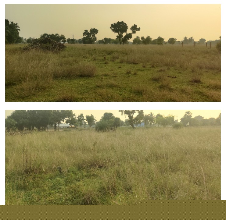 Indian Overseas Bank Auctions for Residential property in Chengalpattu, Tamil Nadu image 2 of 3 in Karunguzhi, Chengalpattu | Indian Overseas Bank auction property
