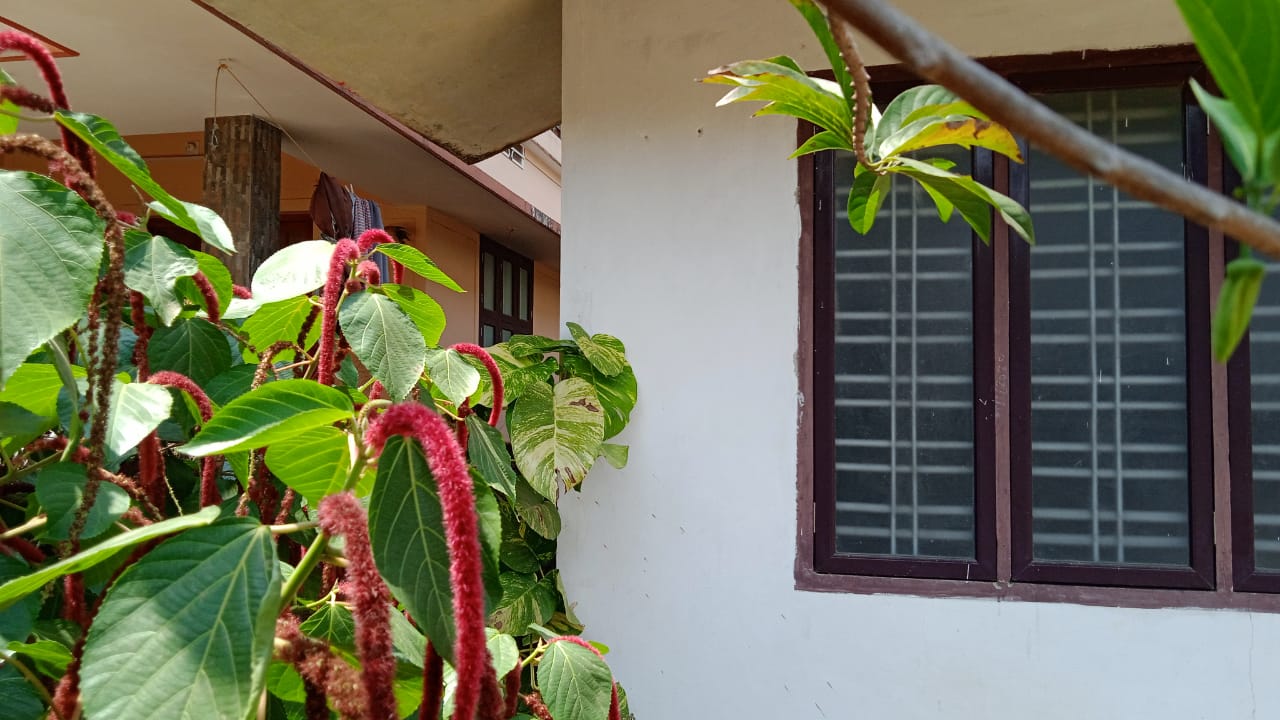 Punjab National Bank Auctions for Residential property in Thrissur, Kerala image 3 of 6 in Enkakkad, Thrissur | Punjab National Bank auction property