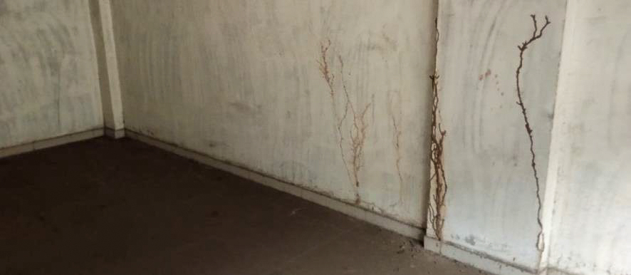 Indian Bank Auctions for Commercial property in Gandhinagar, Gujarat image 8 of 12 in Chhatral, Gandhinagar | Indian Bank auction property