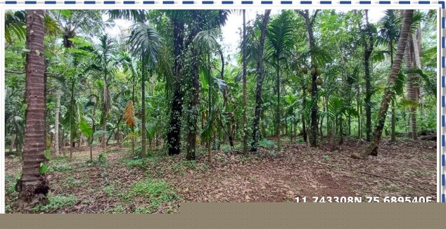 Canara Bank Auctions for Residential property in Kozhikode, Kerala image 2 of 2 in Chekkiad, Kozhikode | Canara Bank auction property