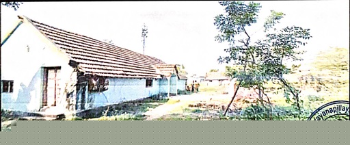 Canara Bank Auctions for Residential property in Cuddalore, Tamil Nadu image 3 of 4 in Pennadam, Cuddalore | Canara Bank auction property