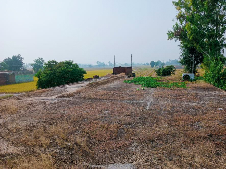 Punjab & Sind Bank Auctions for Residential property in Moga, Punjab image 16 of 20 in Badhni Kalan, Moga | Punjab & Sind Bank auction property