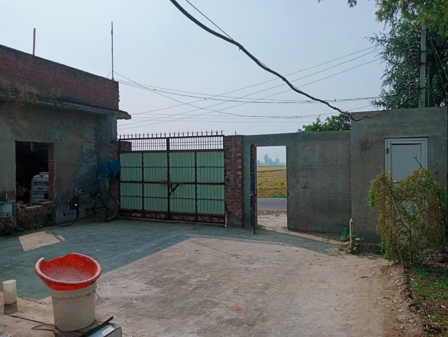 Punjab & Sind Bank Auctions for Residential property in Moga, Punjab image 3 of 20 in Badhni Kalan, Moga | Punjab & Sind Bank auction property