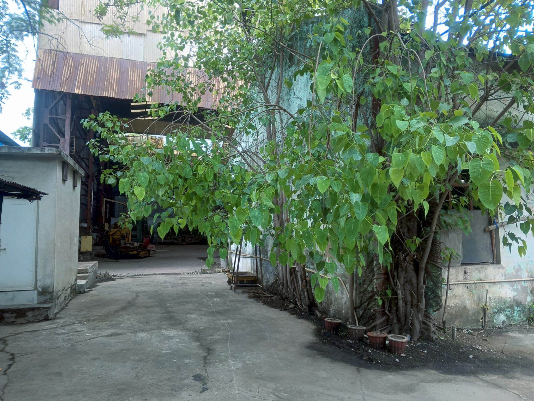Punjab National Bank Auctions for Industrials property in Durg, Chhattisgarh image 4 of 16 in Bhilai, Durg | Punjab National Bank auction property