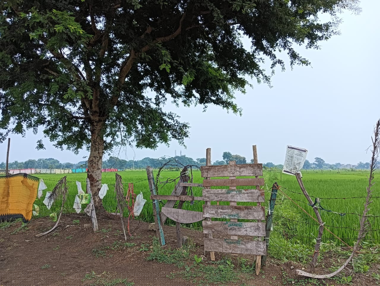 Punjab National Bank Auctions for Residential property in Durg, Chhattisgarh image 3 of 5 in Bhilai, Durg | Punjab National Bank auction property