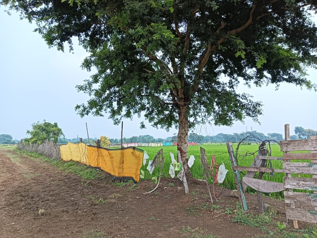 Punjab National Bank Auctions for Residential property in Durg, Chhattisgarh image 4 of 5 in Bhilai, Durg | Punjab National Bank auction property