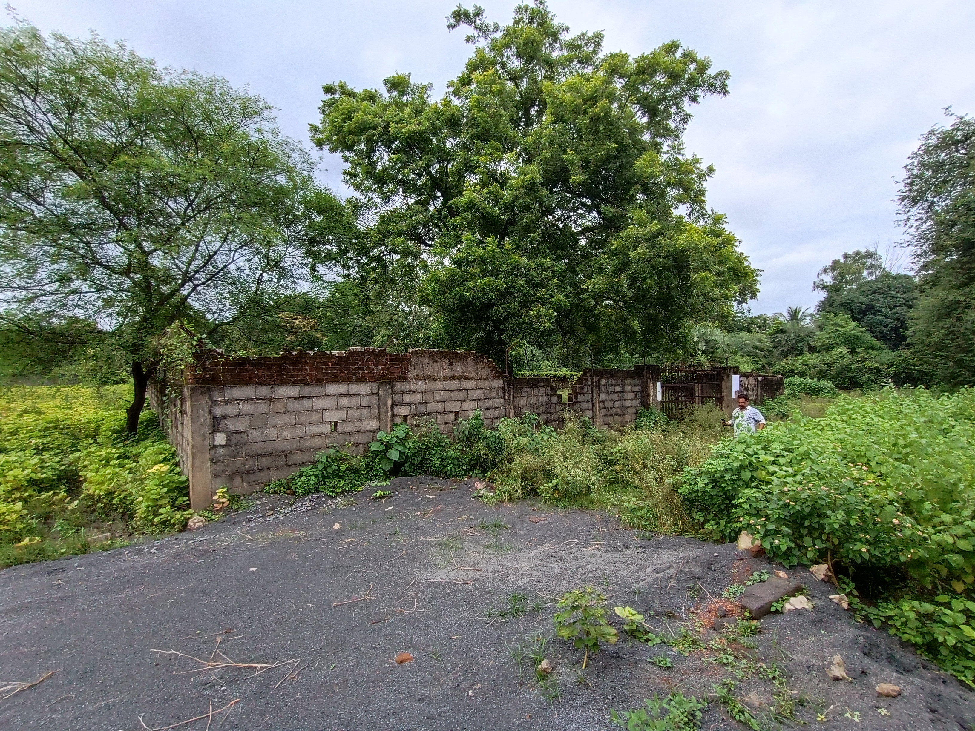 Punjab National Bank Auctions for Residential property in Raipur, Chhattisgarh image 3 of 4 in Raipur, Raipur | Punjab National Bank auction property