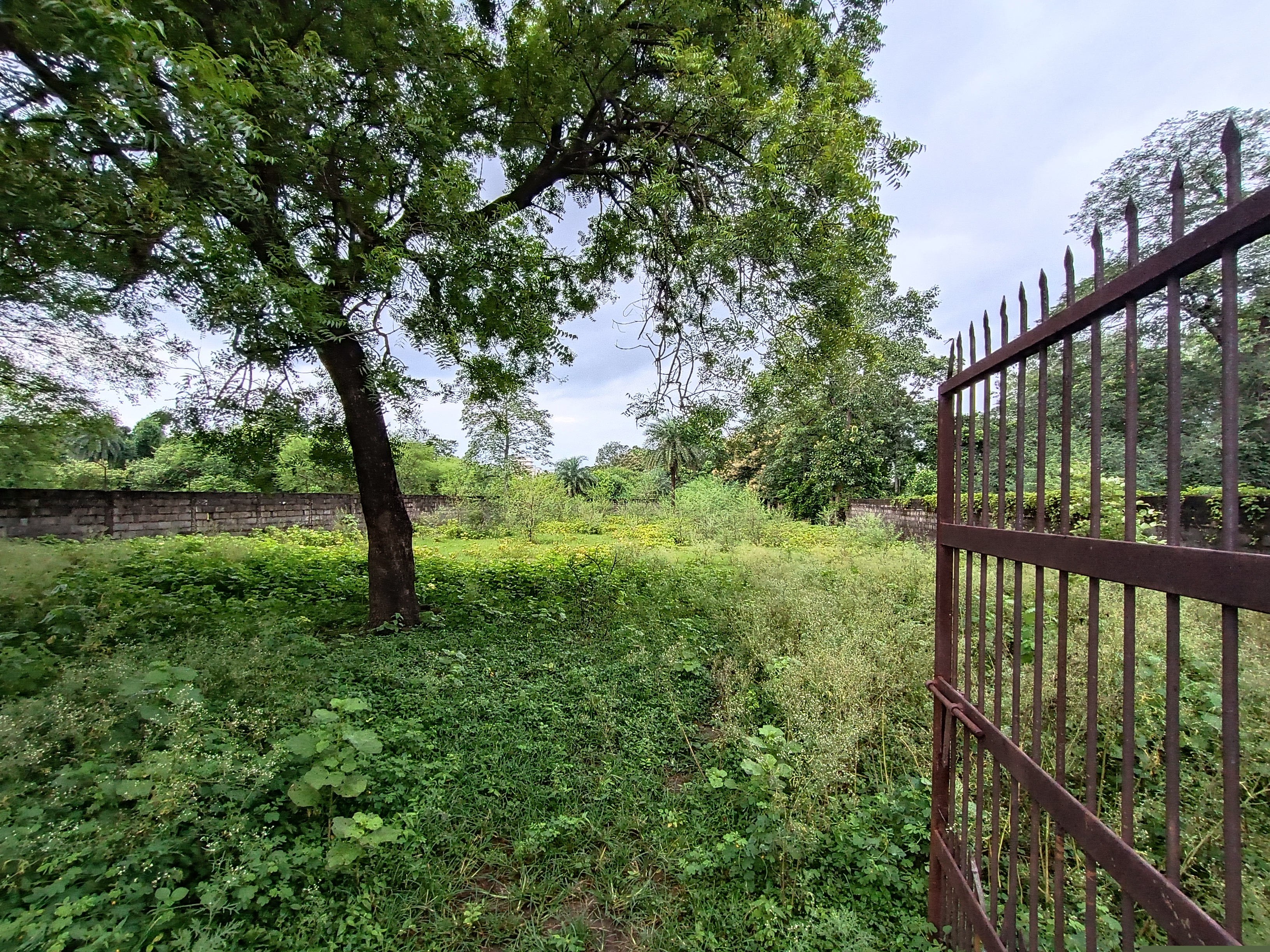 Punjab National Bank Auctions for Residential property in Raipur, Chhattisgarh image 4 of 4 in Raipur, Raipur | Punjab National Bank auction property