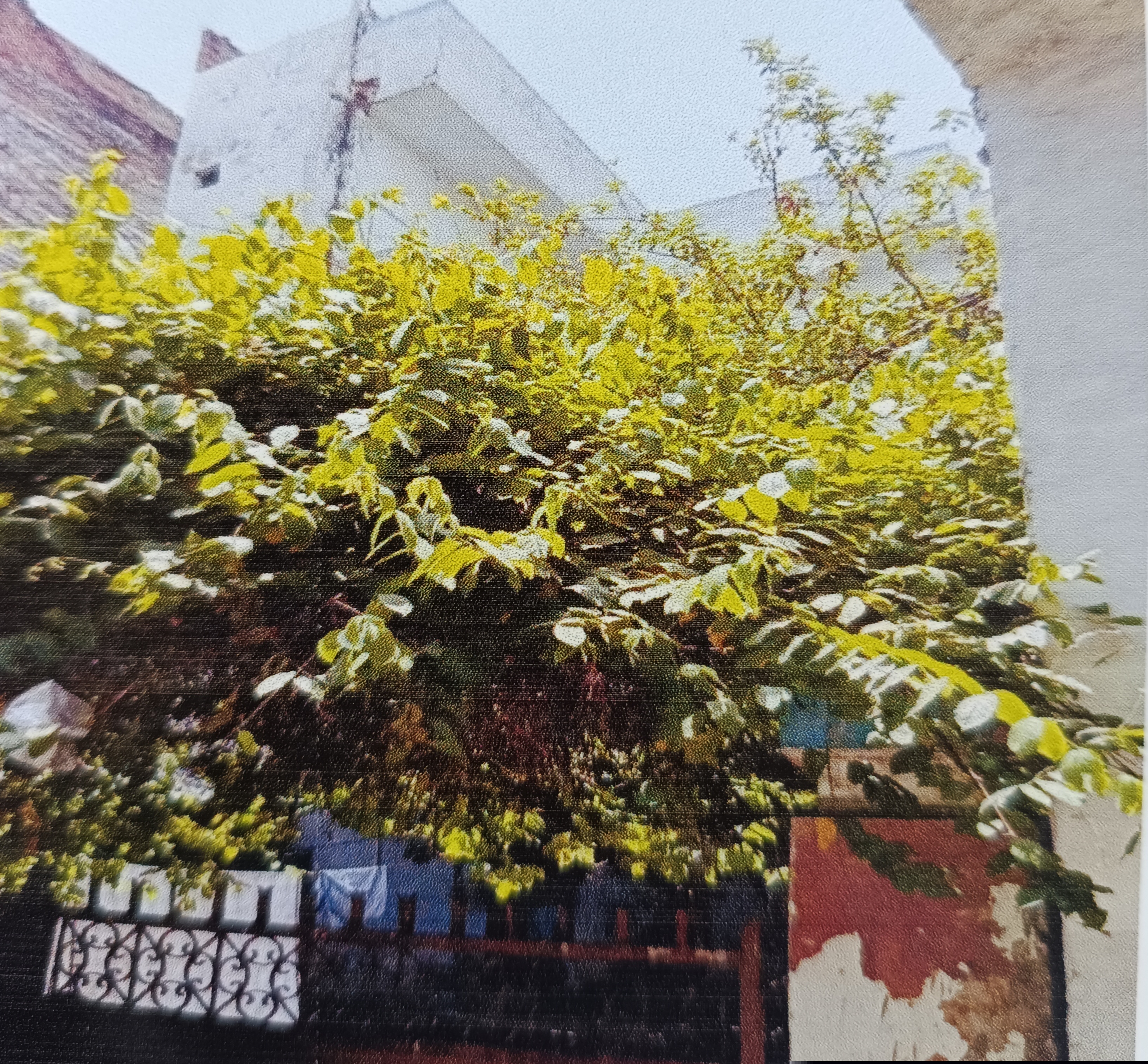Punjab & Sind Bank Auctions for Residential property in Prayagraj, Uttar Pradesh image 2 of 6 in Prayagraj, Prayagraj | Punjab & Sind Bank auction property