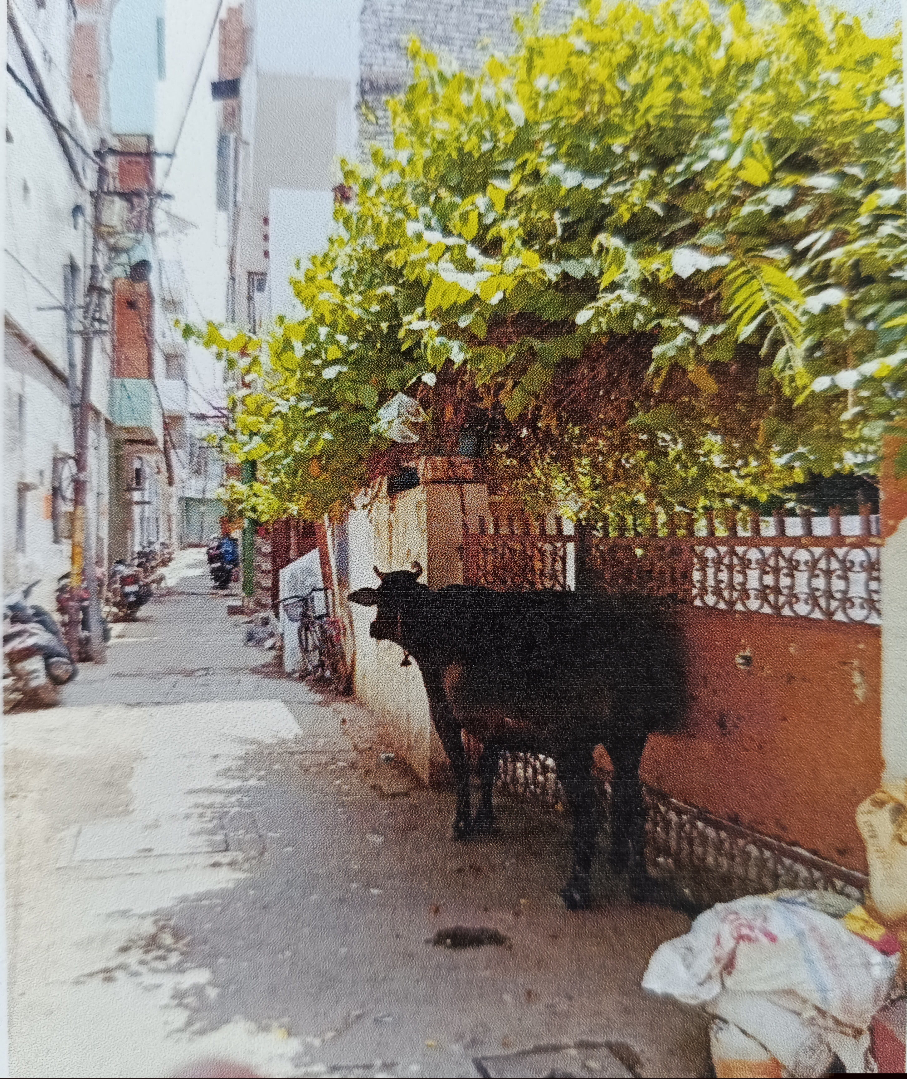 Punjab & Sind Bank Auctions for Residential property in Prayagraj, Uttar Pradesh image 4 of 6 in Prayagraj, Prayagraj | Punjab & Sind Bank auction property