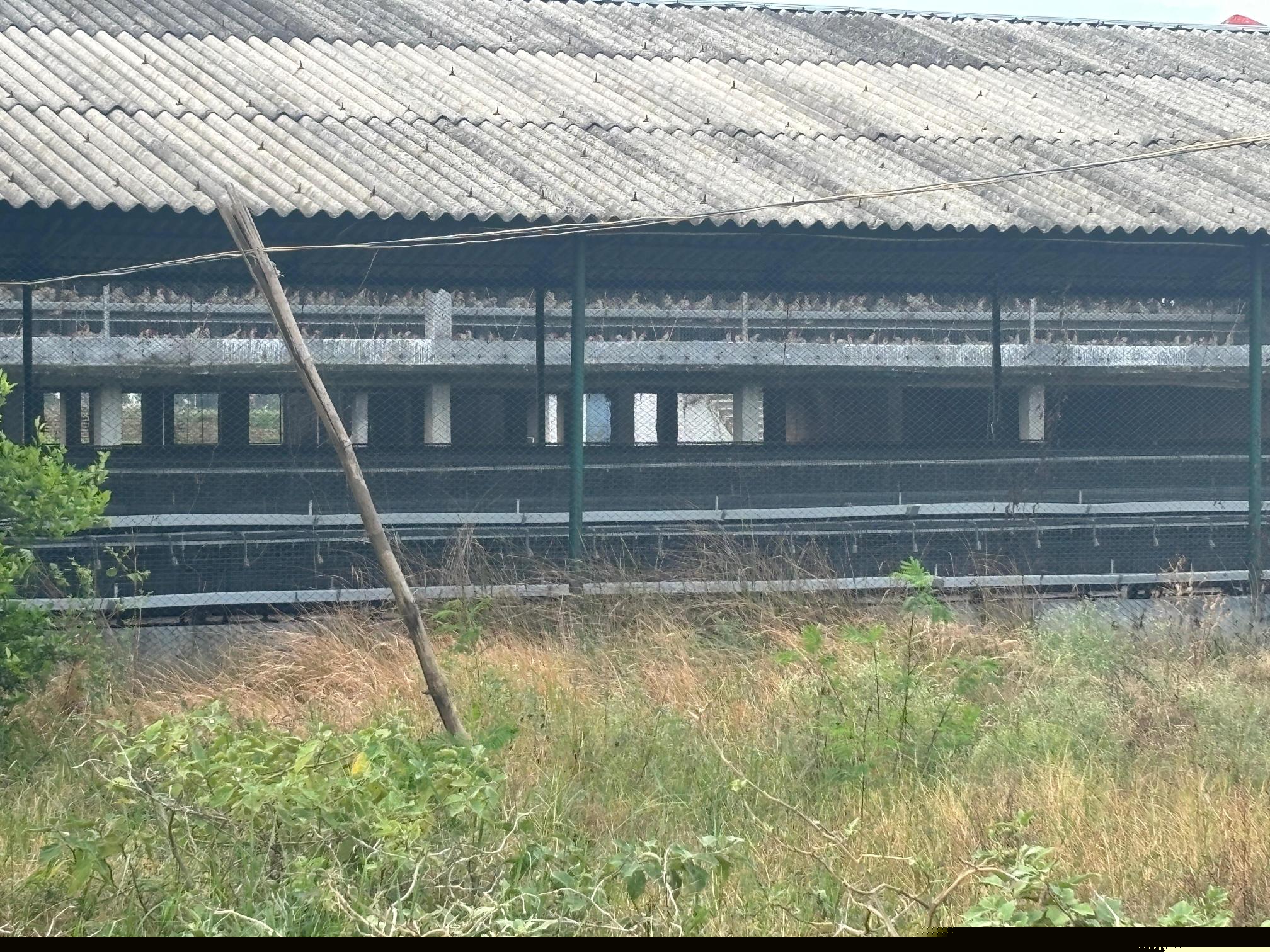 Indian Bank Auctions for Commercial property in Murshidabad, West Bengal image 2 of 5 in Kandi, Murshidabad | Indian Bank auction property
