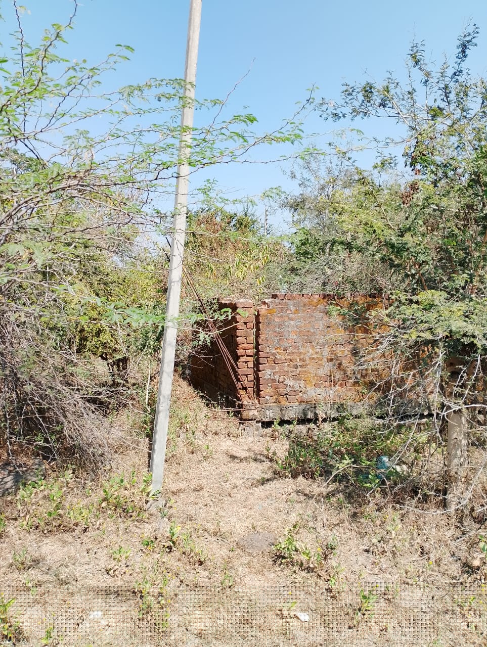 UCO Bank Auctions for Residential property in Chandrapur, Maharashtra image 2 of 4 in Ballarpur, Chandrapur | UCO Bank auction property