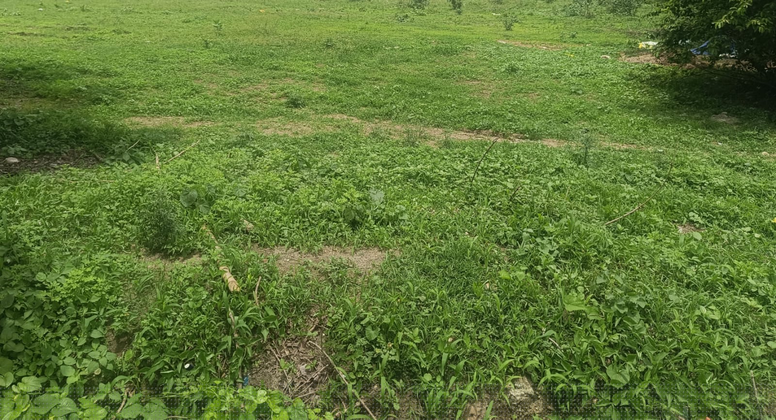 UCO Bank Auctions for Residential property in Chandrapur, Maharashtra image 3 of 3 in Bhadravati MIDC, Chandrapur | UCO Bank auction property