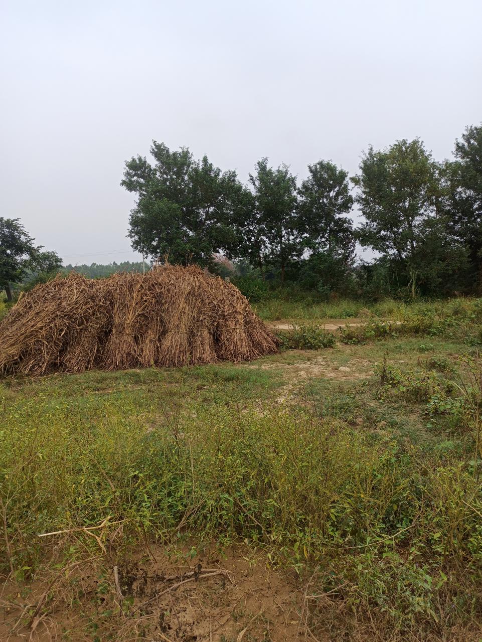Punjab National Bank Auctions for Residential property in Aligarh, Uttar Pradesh image 2 of 2 in Aligarh, Aligarh | Punjab National Bank auction property