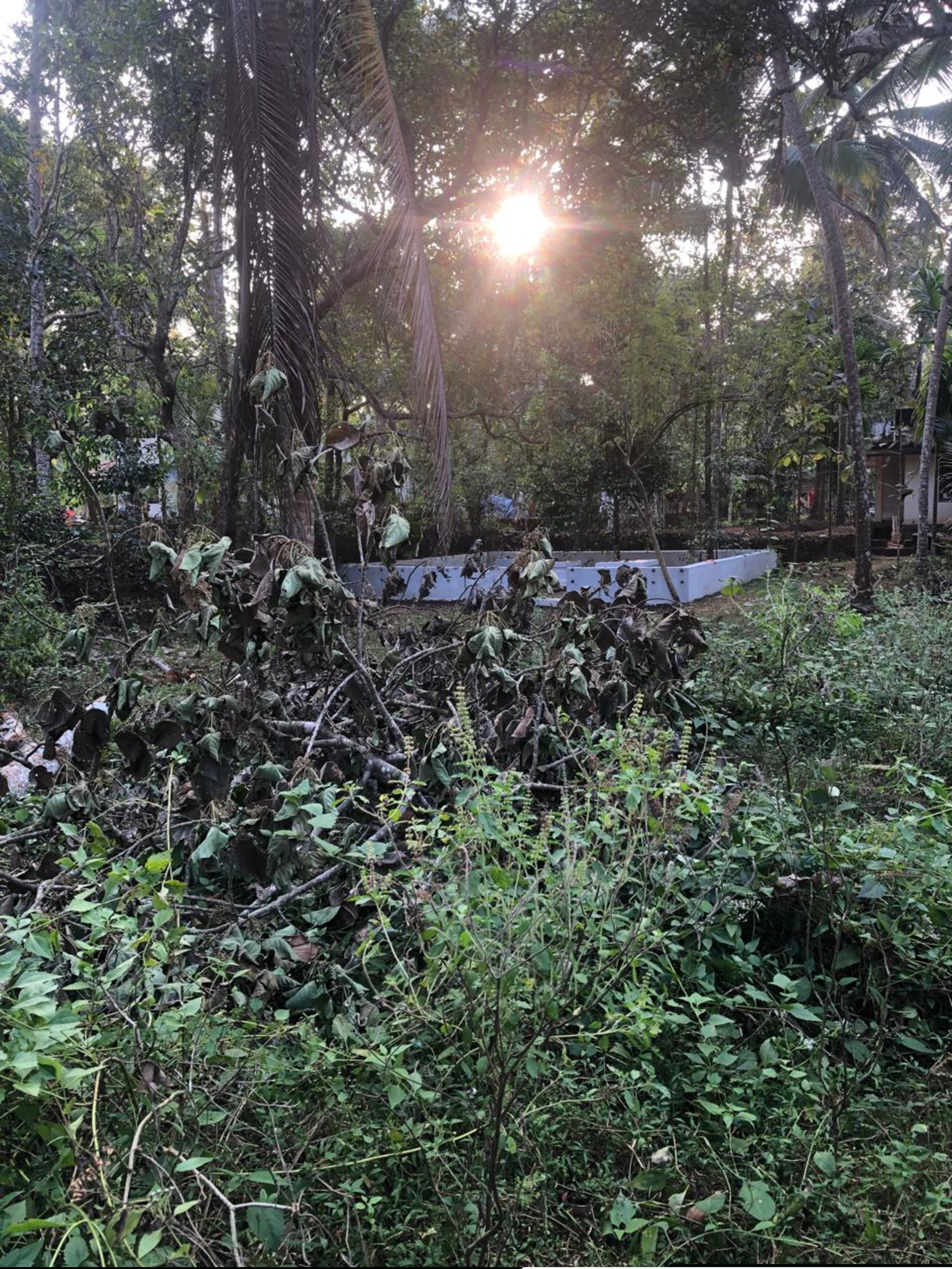 Punjab National Bank Auctions for Residential property in Kozhikode, Kerala image 5 of 7 in Eravattur, Kozhikode | Punjab National Bank auction property