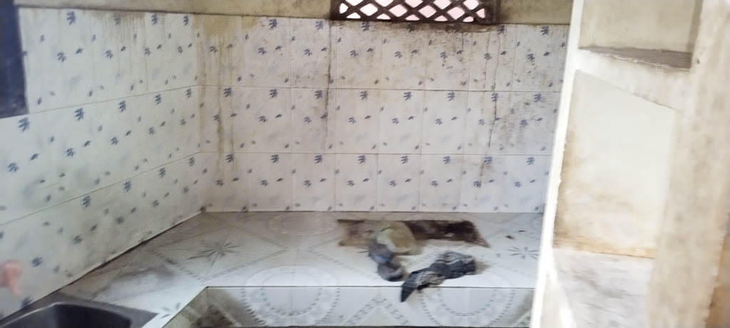 Bank of Baroda Auctions for Residential property in Kanyakumari, Tamil Nadu image 10 of 15 in Kollancode, Kanyakumari | Bank of Baroda auction property