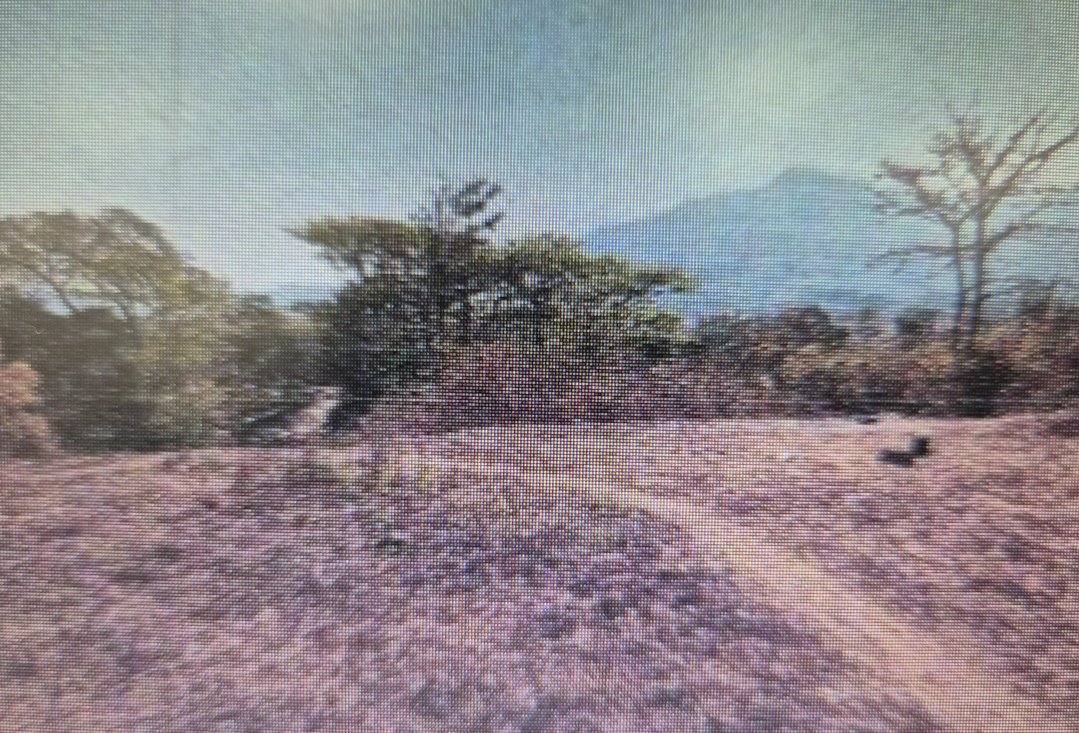 Punjab National Bank Auctions for Residential property in Raigad, Maharashtra image 2 of 2 in Pali, Raigad | Punjab National Bank auction property