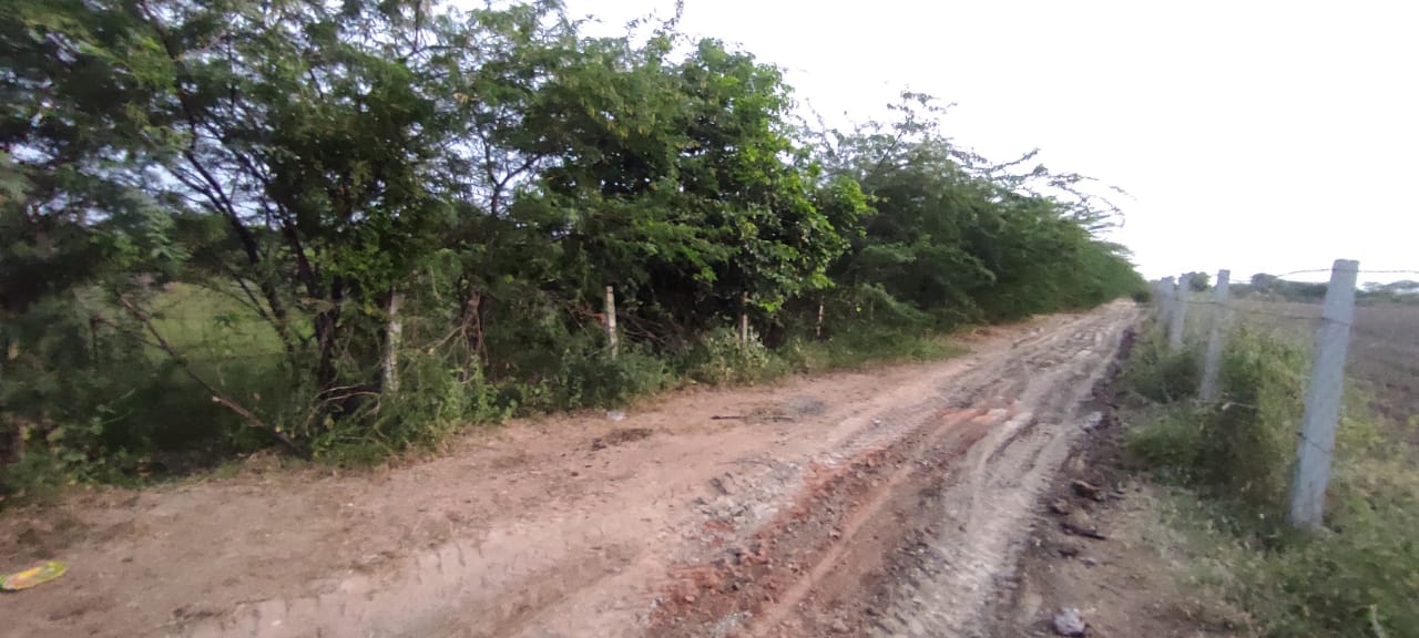 Punjab National Bank Auctions for Residential property in Pali, Rajasthan image 3 of 4 in Pali, Pali | Punjab National Bank auction property