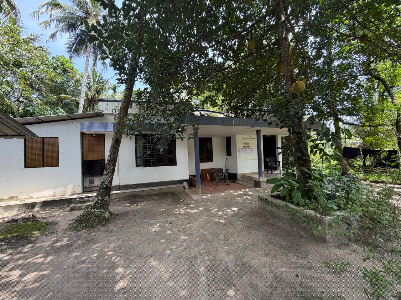 Punjab National Bank Auctions for Residential property in Kollam, Kerala image 2 of 3 in Ayanivelikulangara, Kollam | Punjab National Bank auction property