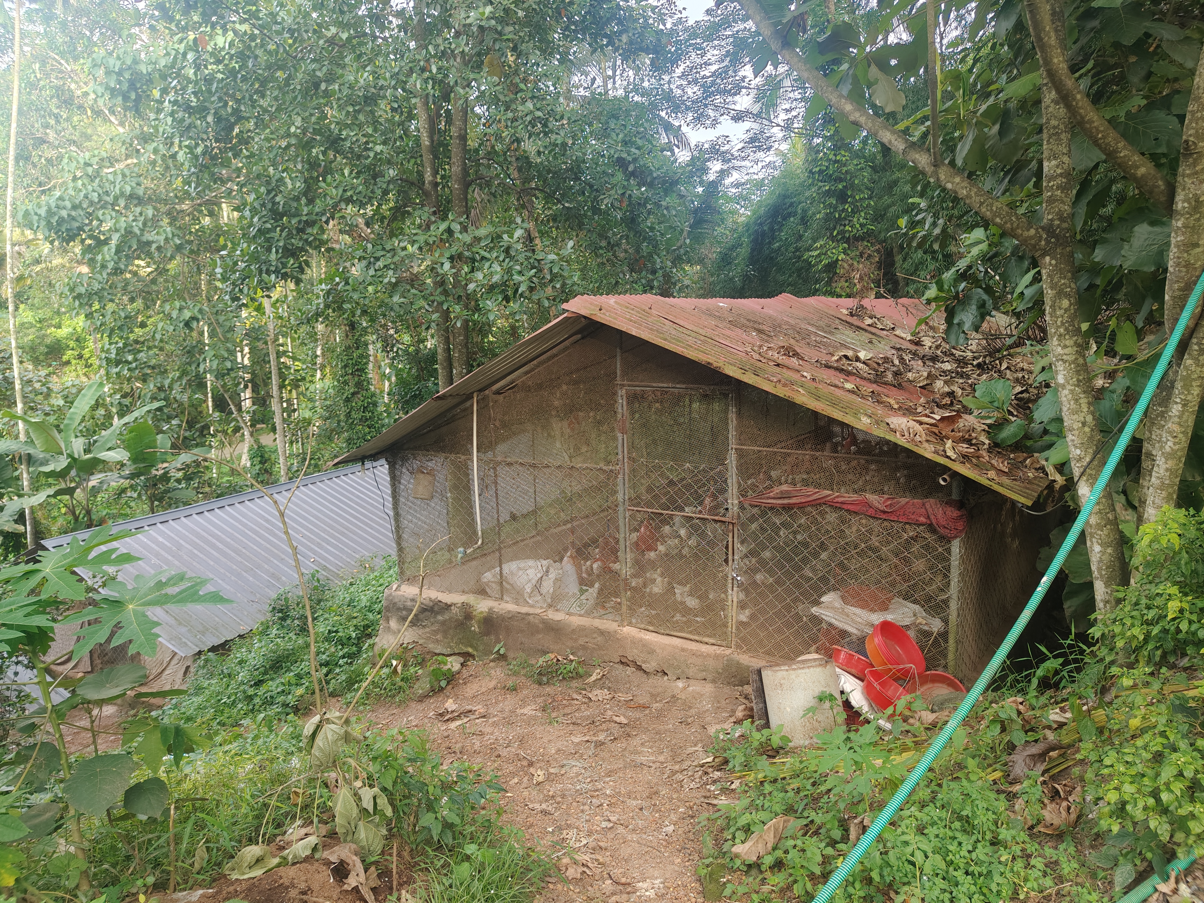 Canara Bank Auctions for Residential property in Trivandrum, Kerala image 2 of 3 in Karakulam, Trivandrum | Canara Bank auction property