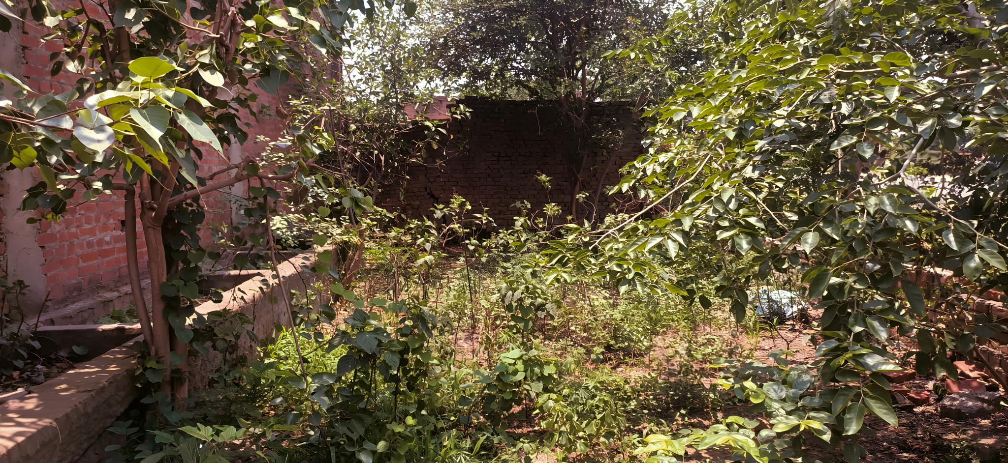 Punjab National Bank Auctions for Industrials property in Shahjahanpur, Uttar Pradesh image 13 of 25 in Shahjahanpur, Shahjahanpur | Punjab National Bank auction property