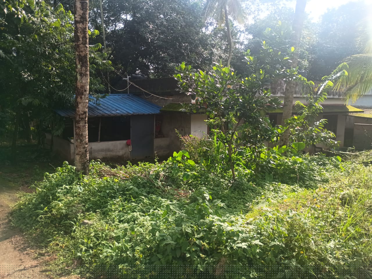 Punjab National Bank Auctions for Residential property in Kollam, Kerala image 4 of 6 in AYOOR, Kollam | Punjab National Bank auction property